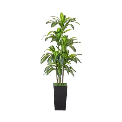 nearly natural 5-Foot Artificial Real Touch Dracaena Decorative Planter