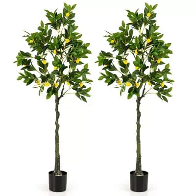 Costway 2 pc 5.2 FT Tall Artificial Lemon Tree with Lemon Fruits, Cement Pot for Porch, Office