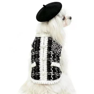 Black Dog Winter Coat