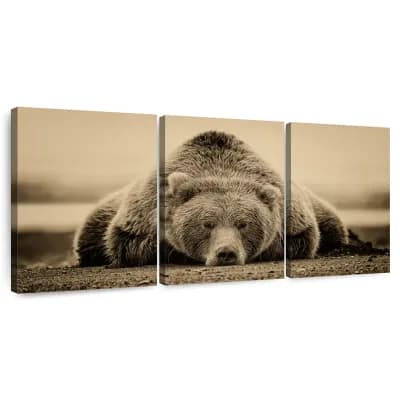 Deep Sleep I 3 pc Set Wall Art