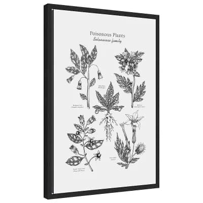 Poisonous Plants Halloween by Yevheniia Lytvynovych Framed Canvas Wall Art Print