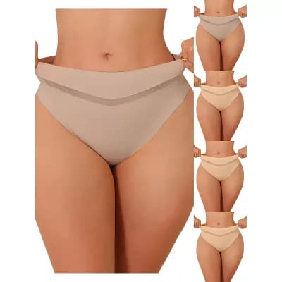 5 Packs Women's Ice Silk Bikini Brief Mid Rise V-shaped Meshed Thongs