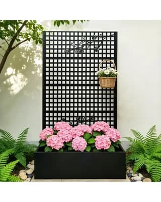 38123862.fpx