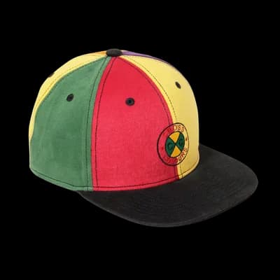 Circle Logo Color Block Snapback Hat