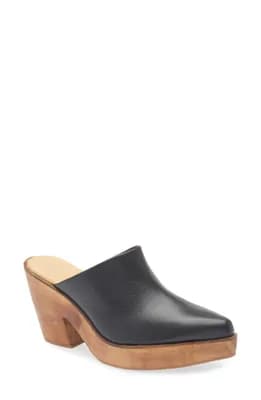 Pointed Toe Platform Mule