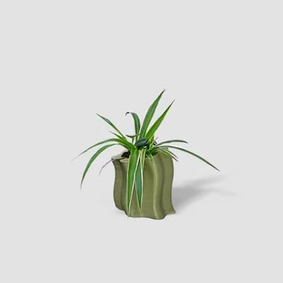 Frosting Short Planters