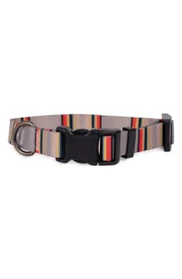 Vintage Camp Adventure Collar