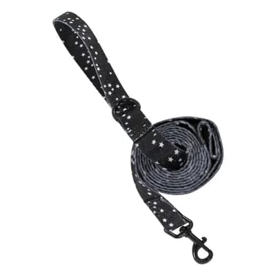 Pet Leash