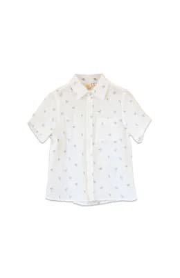 Collar Shirt