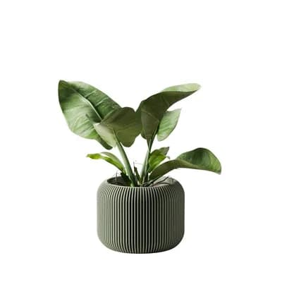 Orbis Planter