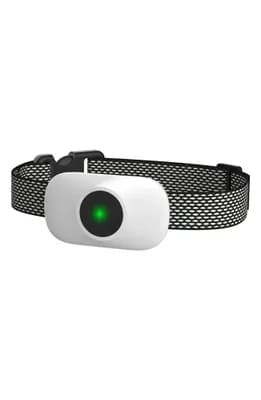 Ellipse 1-to-3 Dog 550-Yard Range 16-Level Vibration Tone and Stimulation Training Collar