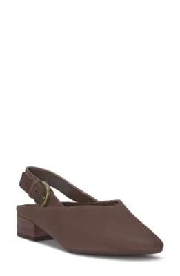 Brigeet Pointed Toe Pump