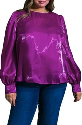 Solid Long Sleeve Organza Top