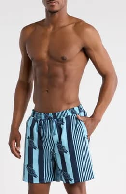Turtle Seersucker Swim Trunks
